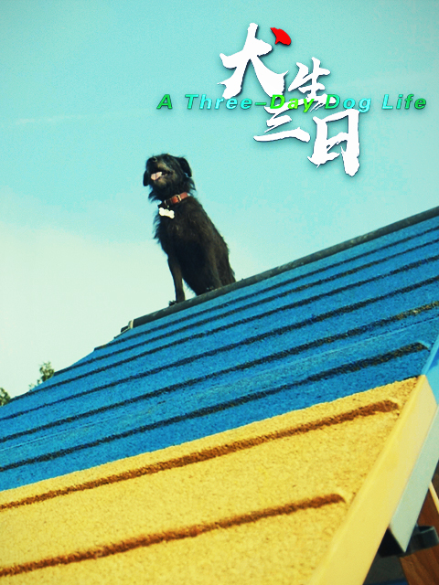 犬生三日封面图