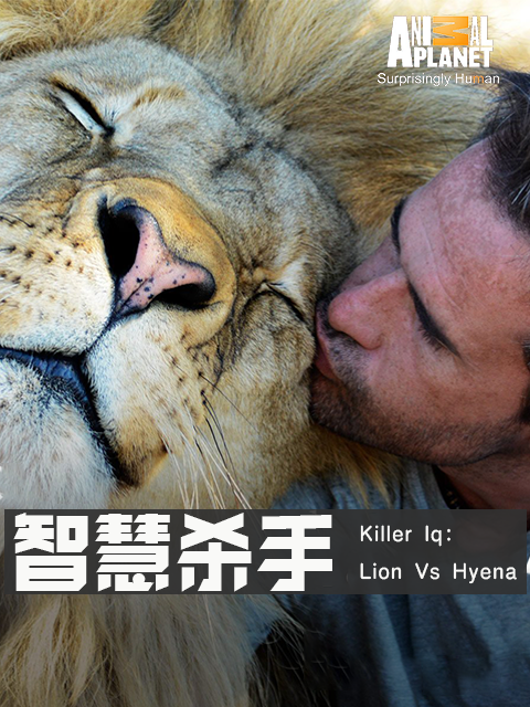 智慧杀手封面图