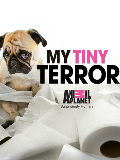 狗狗淘气包封面图