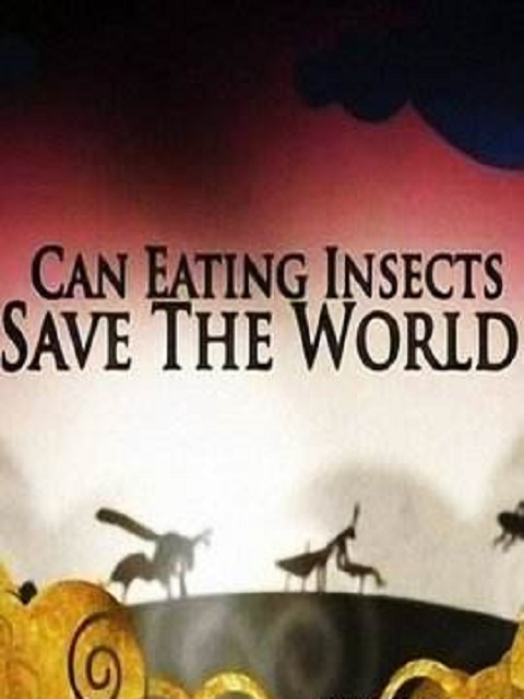 吃昆虫能拯救世界吗？封面图