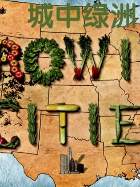 城中绿洲封面图