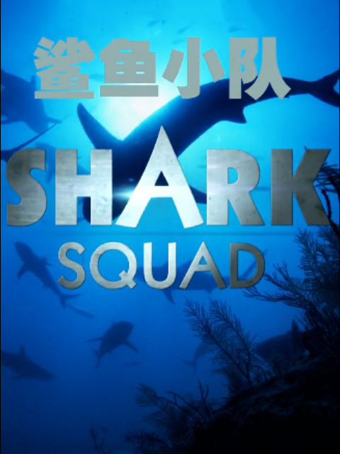 鲨鱼小队封面图