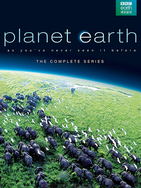 地球脉动封面图