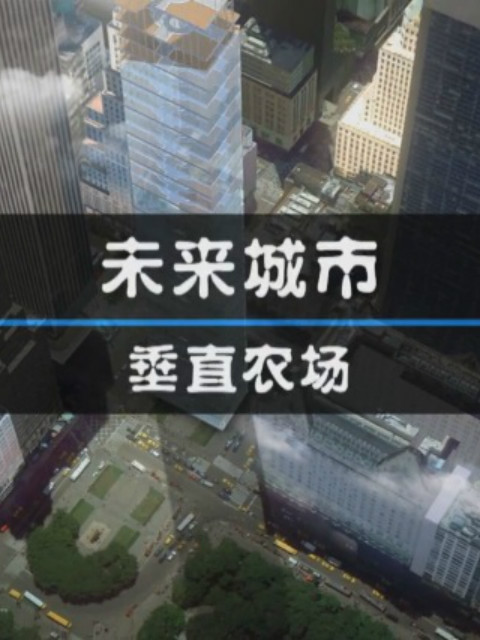 未来城市封面图