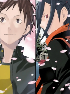 夜樱四重奏封面图