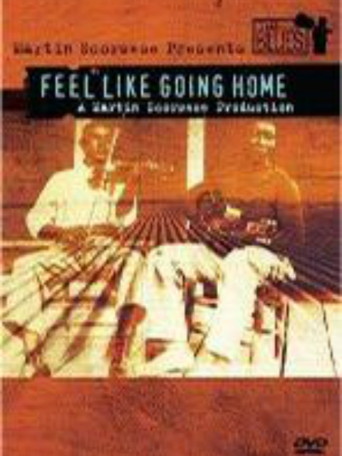 宛若归乡路封面图