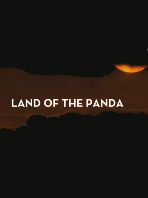 熊猫之境封面图
