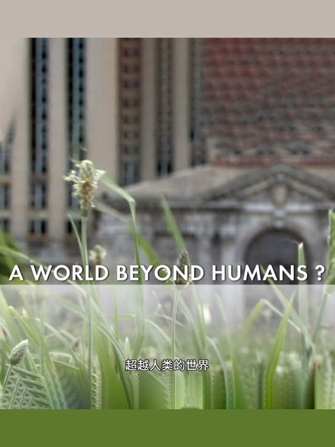 超越人类的世界封面图