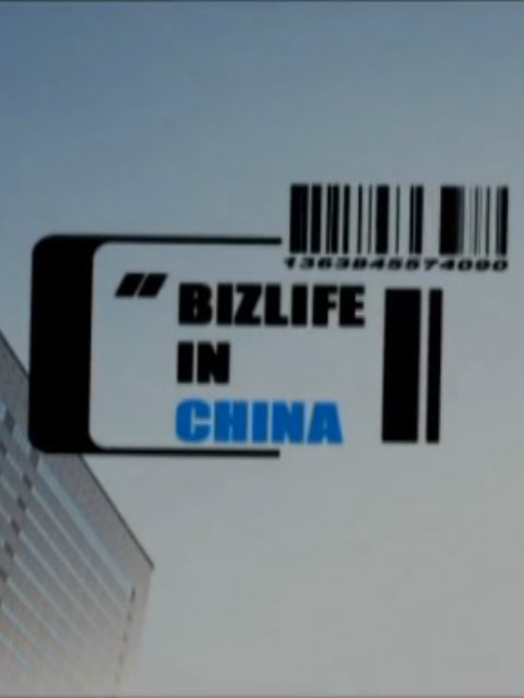 我在中国做生意封面图