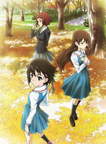 真实之泪封面图