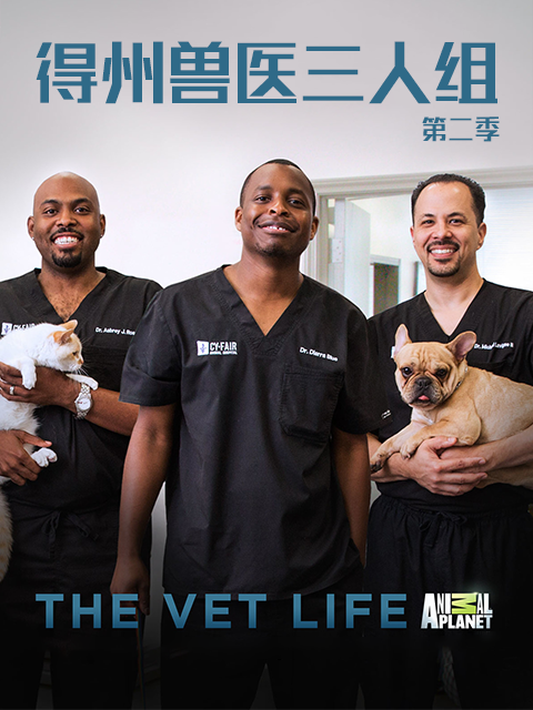 得州兽医三人组 第二季封面图