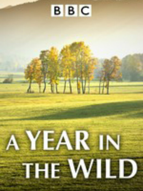 荒野之旅封面图