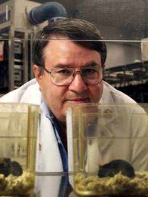 青春永驻封面图