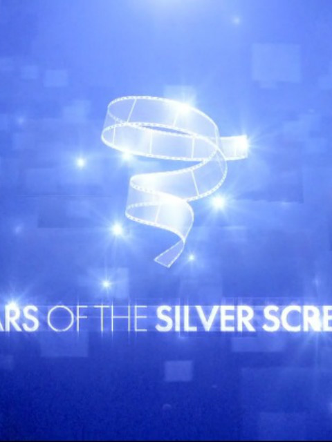 荧幕明星 第三季封面图