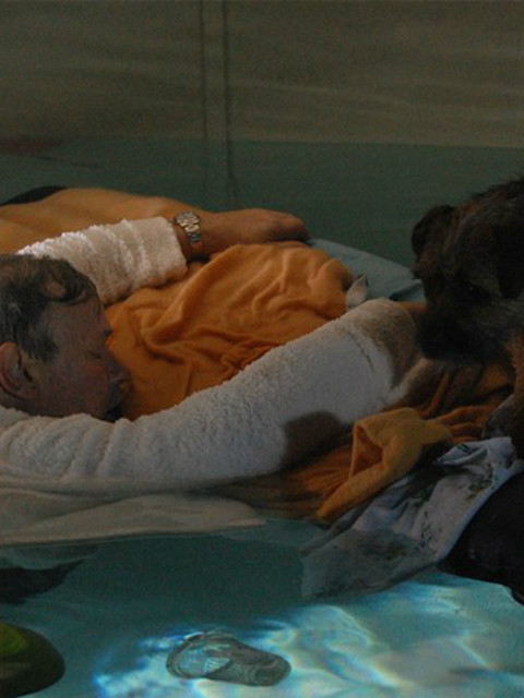 动物拯救了我封面图