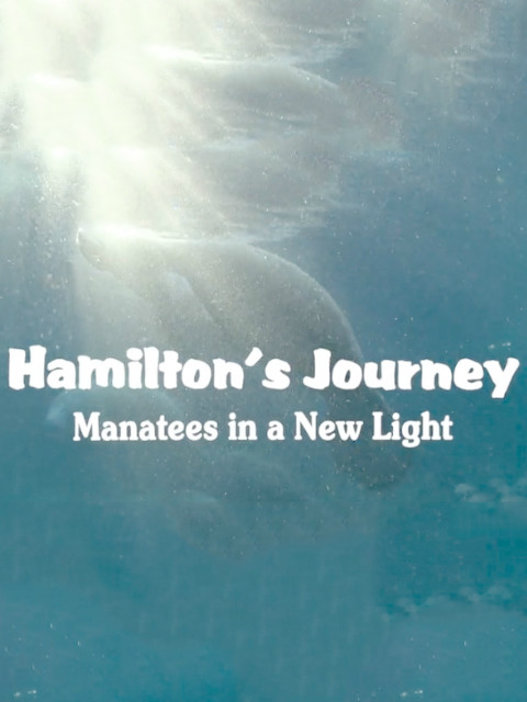 汉密尔顿之旅封面图