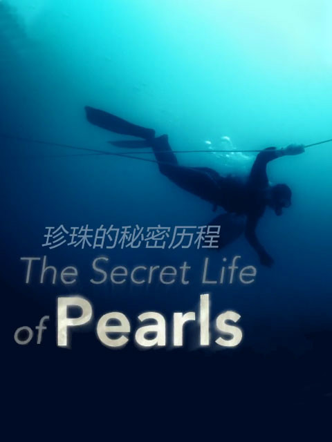 珍珠的秘密历程封面图