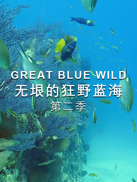 无垠的狂野蓝海 第二季封面图