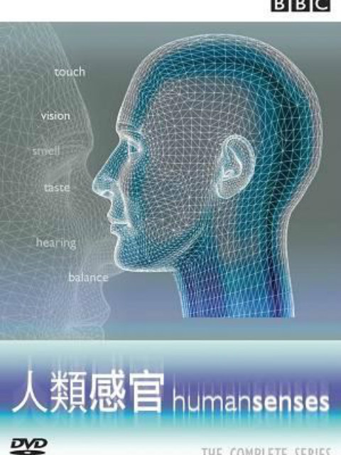 人类感官封面图