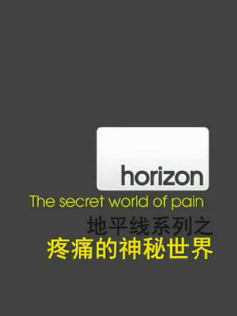 地平线系列：疼痛的秘密封面图