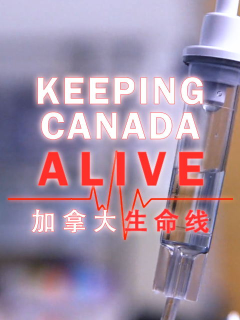 加拿大生命线封面图