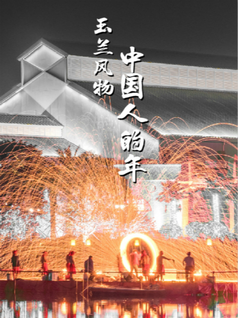 中国人的年封面图