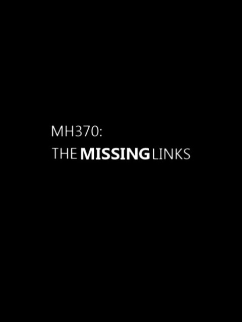 MH370航班失踪疑云封面图