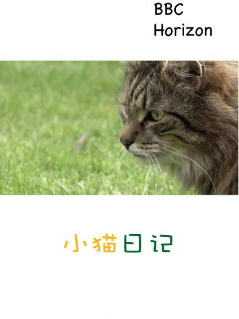 地平线系列：小猫日记封面图