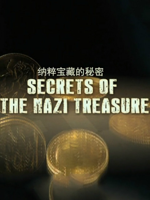 纳粹宝藏的秘密封面图