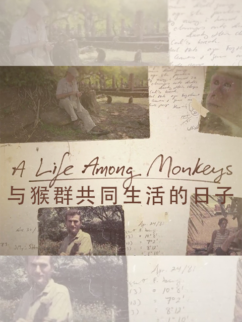 与猴群共同生活的日子封面图