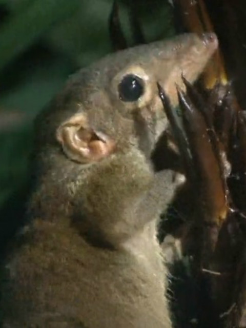 自然奇境第八季封面图