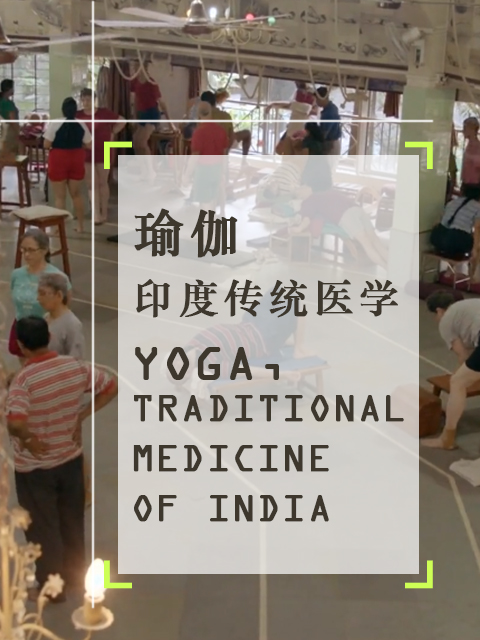 瑜伽 印度传统医学封面图