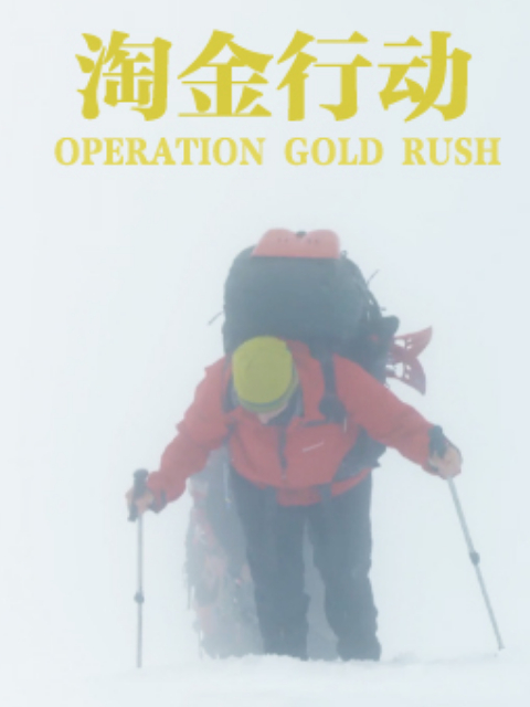 淘金行动封面图