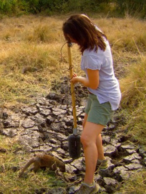 破译动物语言密码封面图