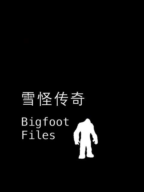 雪怪传奇封面图