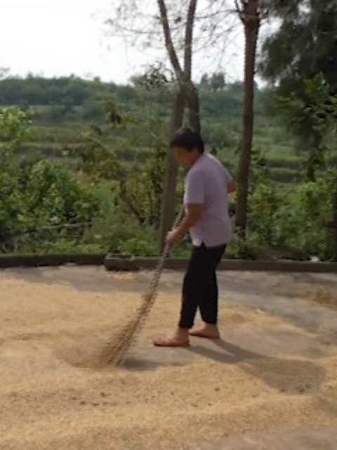 赤脚行医四十载封面图