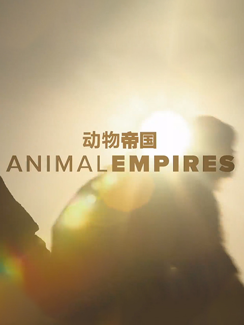 动物帝国封面图