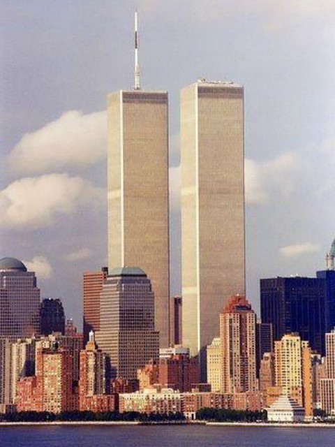 双子塔与双胞情封面图