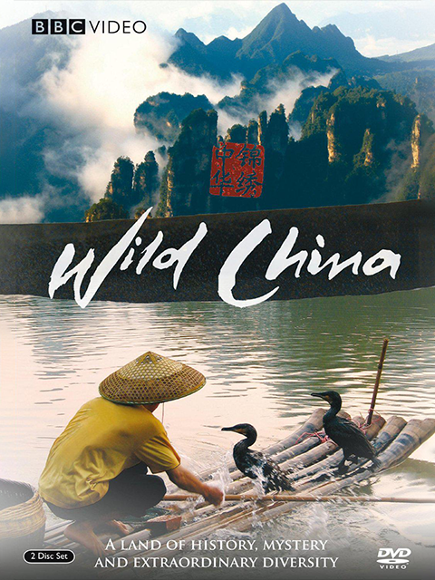 美丽中国封面图