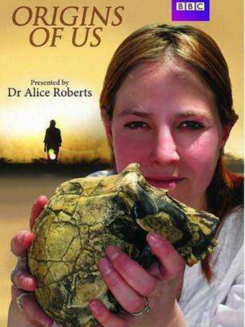 人类的起源封面图