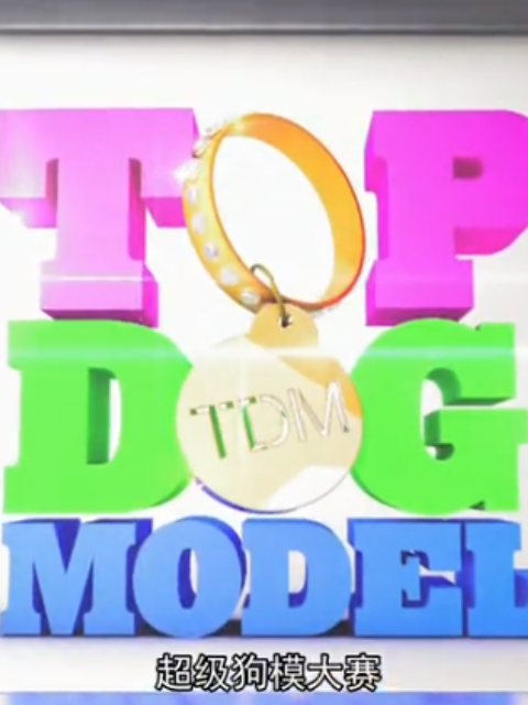 超级狗模大赛封面图