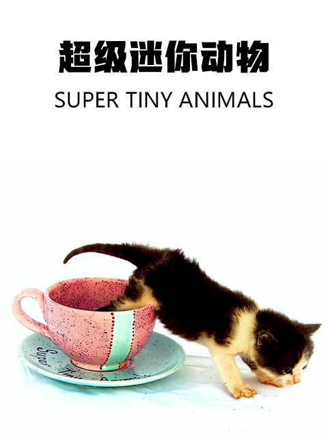 超级迷你动物 第二季封面图