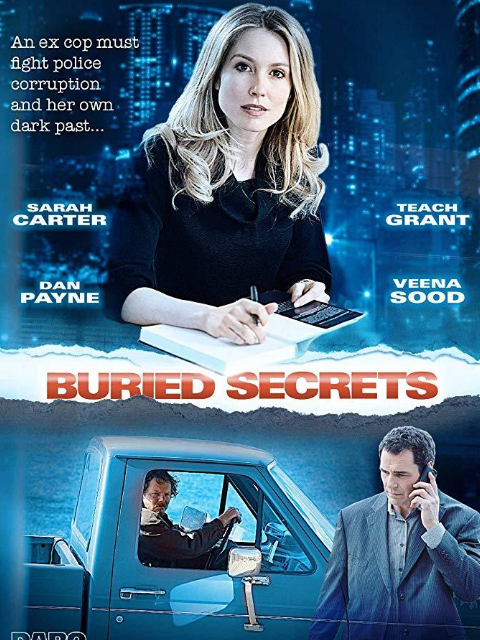 掩盖的秘密封面图