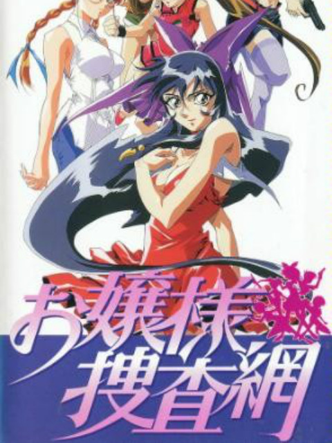 大小姐搜查网封面图