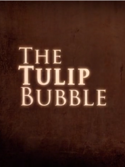 郁金香梦封面图