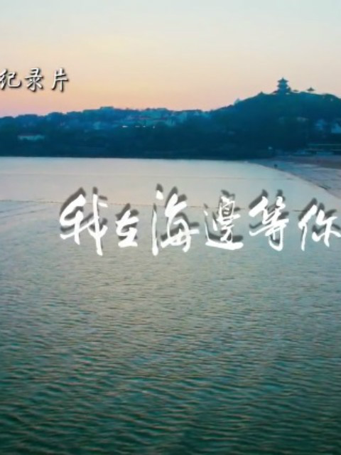 我在海边等你封面图