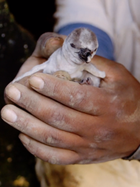 遇见企鹅封面图