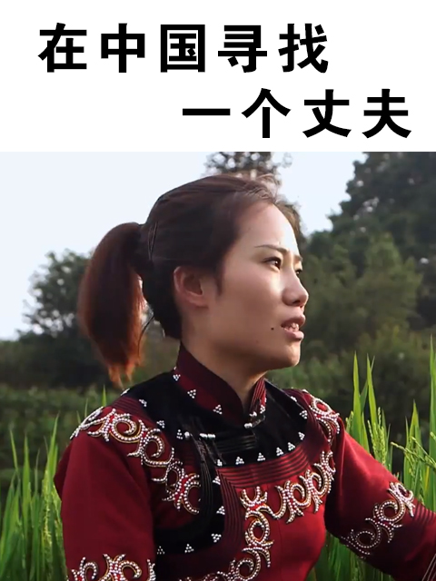 在中国寻找一个丈夫封面图