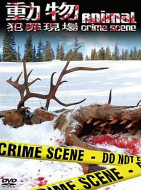 动物犯罪封面图