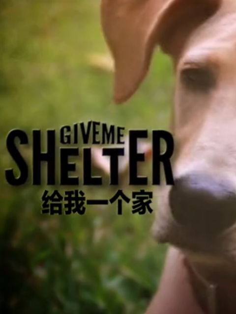 给我一个家封面图